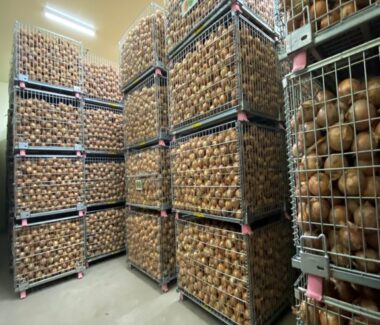 エーアンドエス/新冷蔵庫/玉ねぎ {{brizy_dc_image_alt imageSrc=